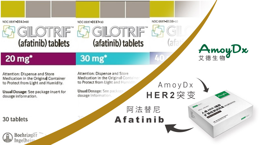 20170828108526.jpg 58996faec886a.jpg