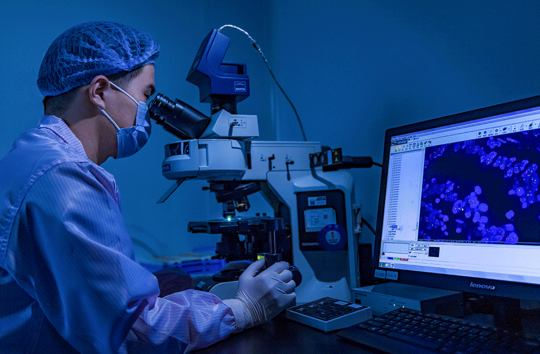 20231024918771.gif 20231024918771.gif